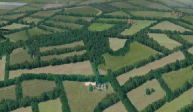 Landschap met landschapselementen.png