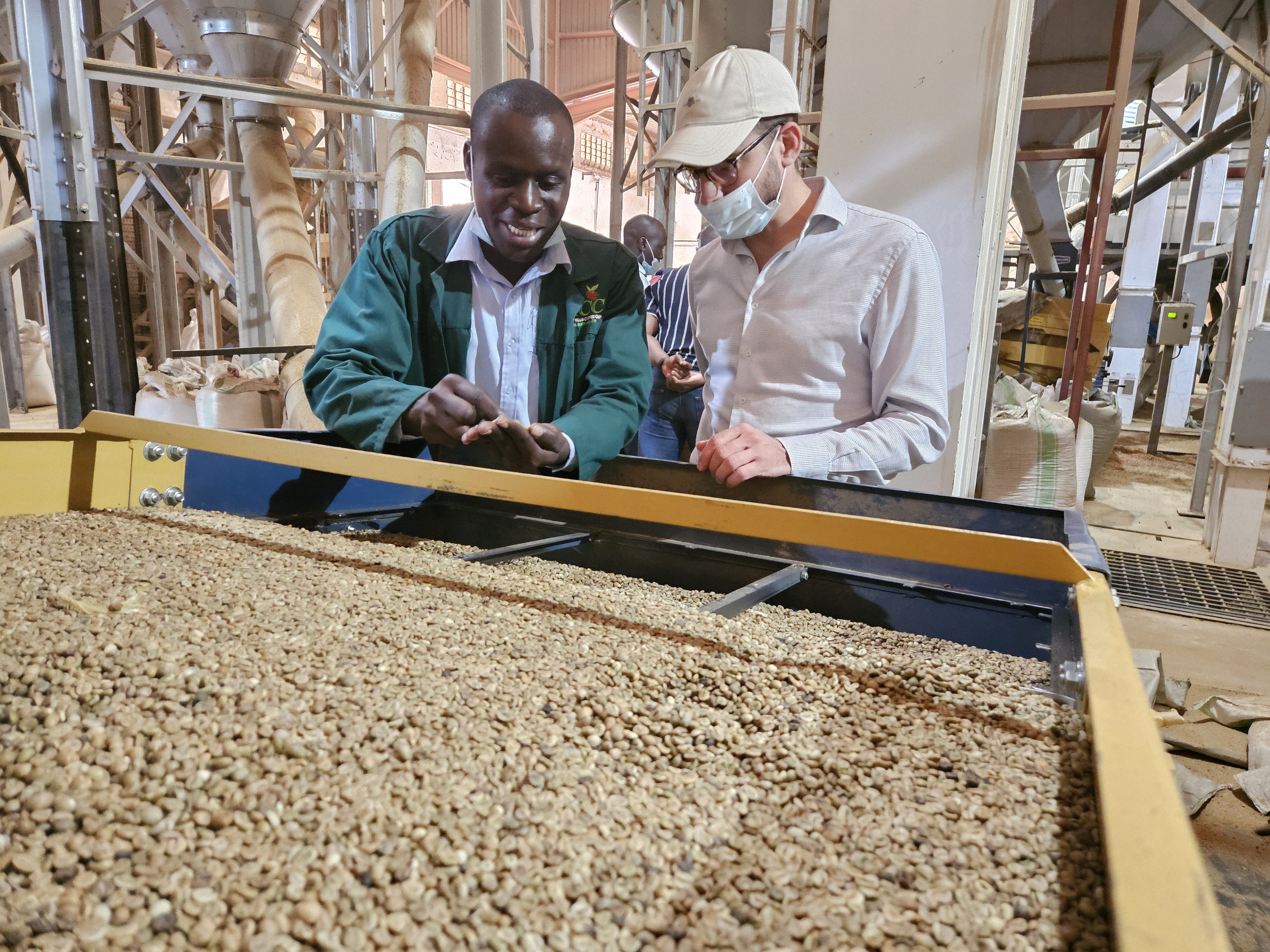 two men looking at coffee beans Uganda