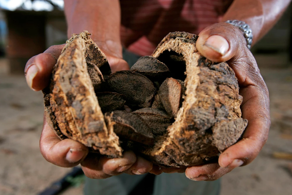 _© Brent Stirton - Getty Images - WWF.jpg