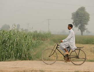 Man op fiets langs veld, Pakistan