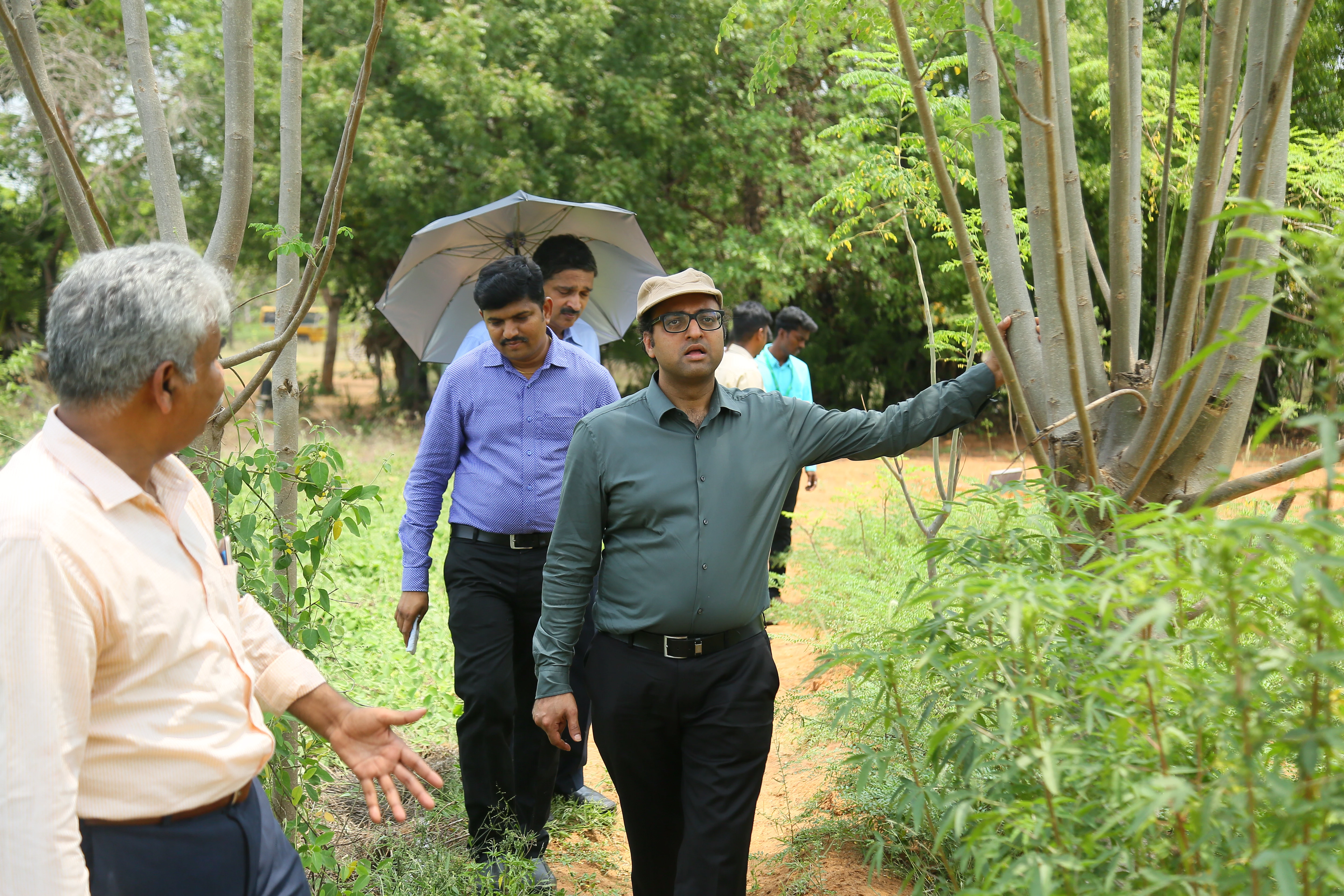 May 2022 at our agroforestry and research station. Plot with Moringa oleifera and Hibiscus sabdariffa- as Intercrop.JPG